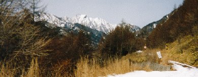 林道から見上げる権現岳