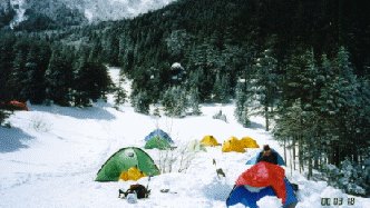 �e���g��