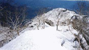 �o�q����