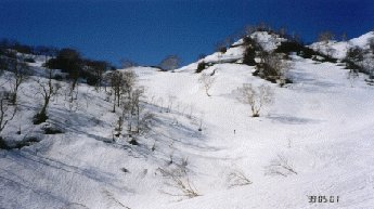 �������̃R���ւ̓o��