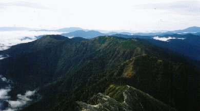 蝶ケ岳への稜線