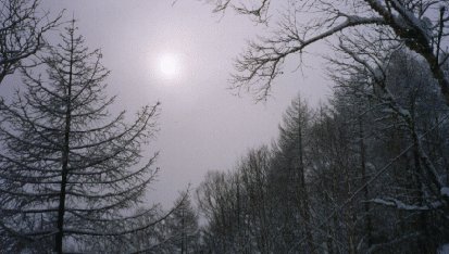 ��������̋�͗l