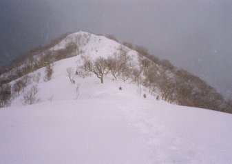 ��������ɂ����g���[�X